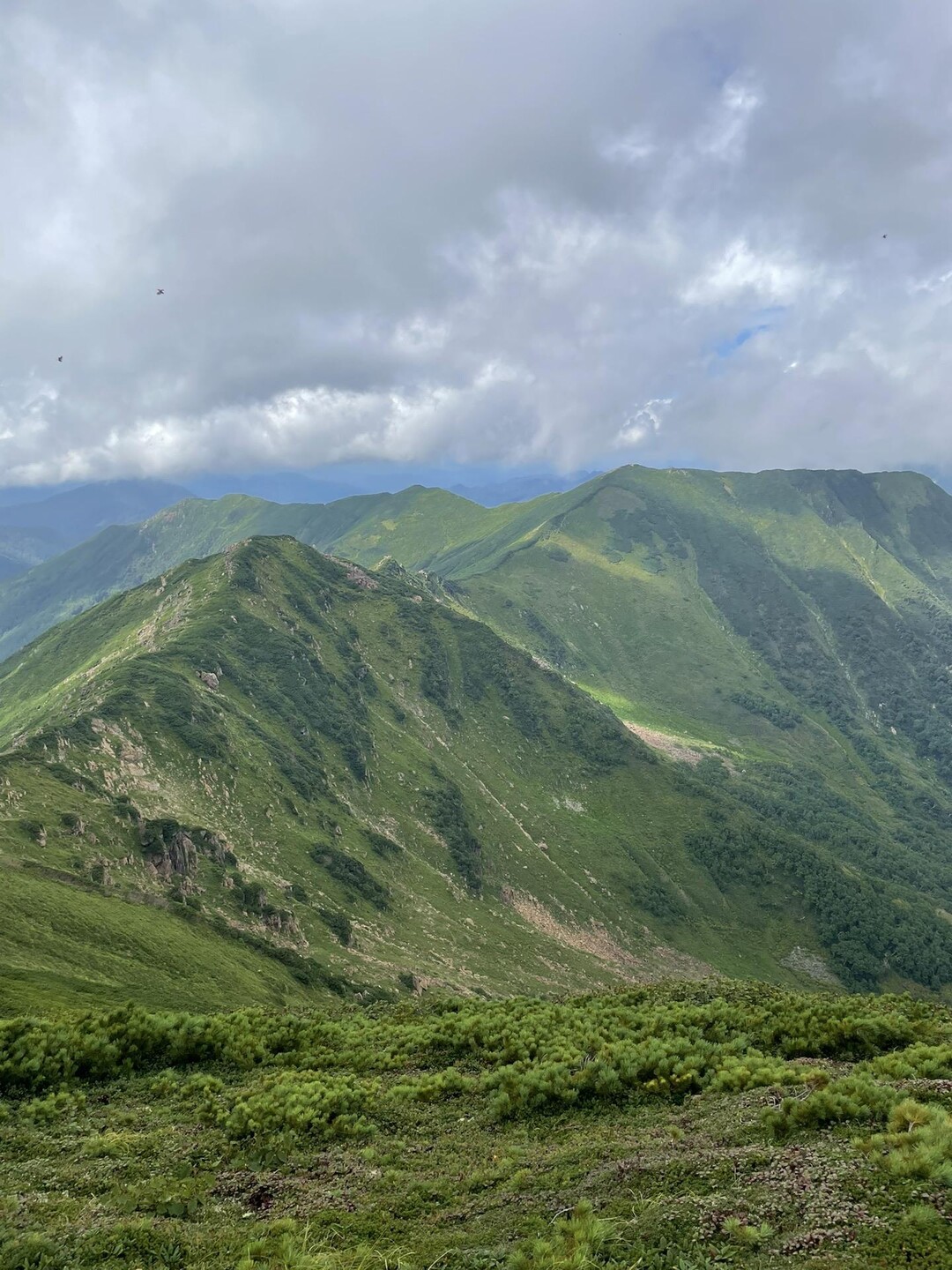 ヌカビラ岳・北戸蔦別岳・戸蔦別岳・幌尻岳 / 雲長さんの幌尻岳・戸蔦別岳・伏美岳の活動データ YAMAP / ヤマップ