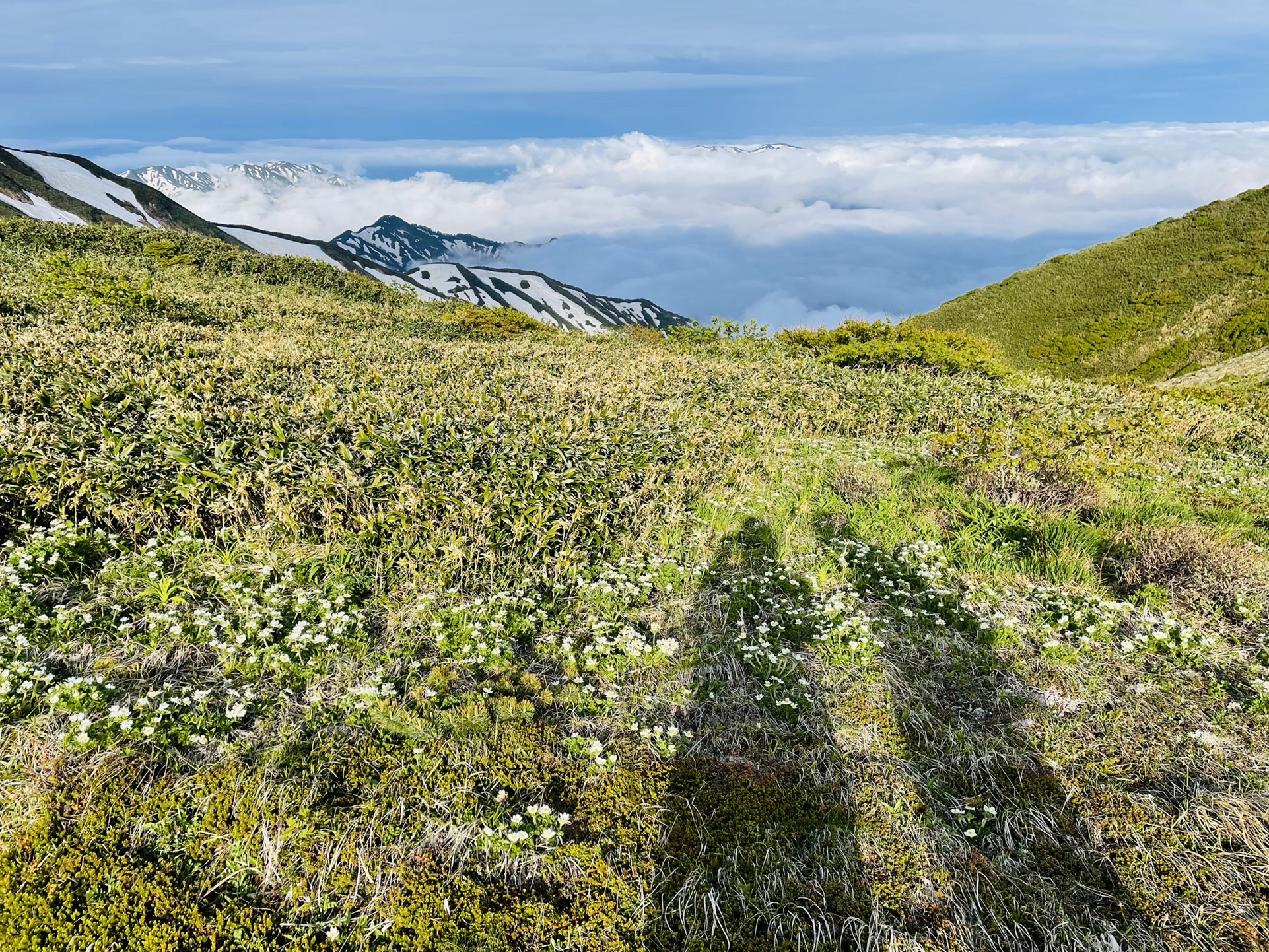 お花畑でツーショ。