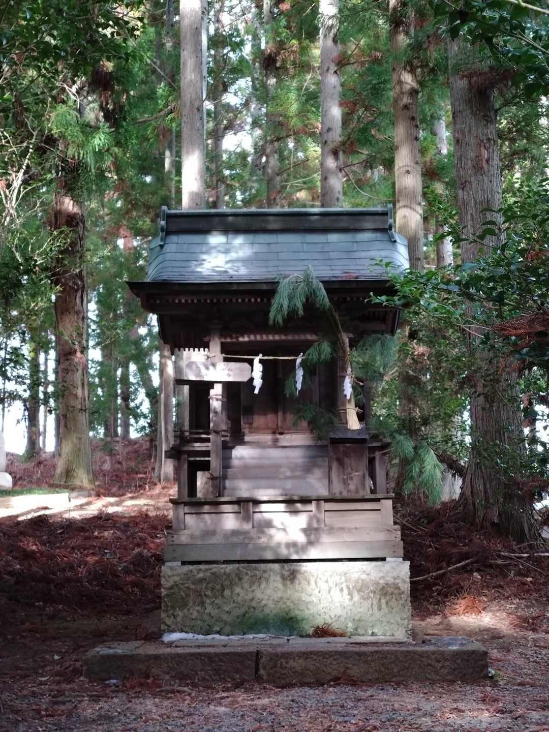 皆神山からQSO / ONCさんの皆神山・尼厳山・奇妙山の活動日記 | YAMAP / ヤマップ