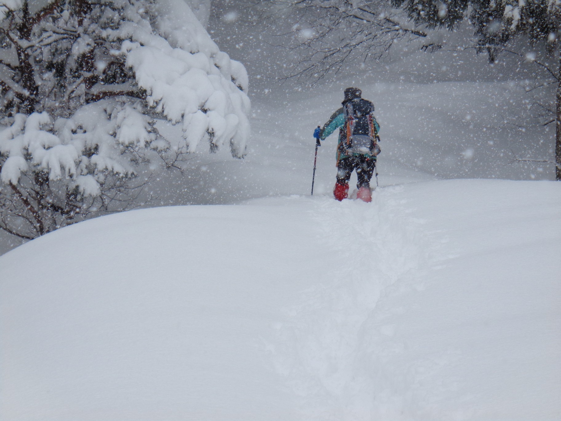 小佐波御前山タイムオーバー 元さんさんの小佐波御前山の活動データ Yamap ヤマップ