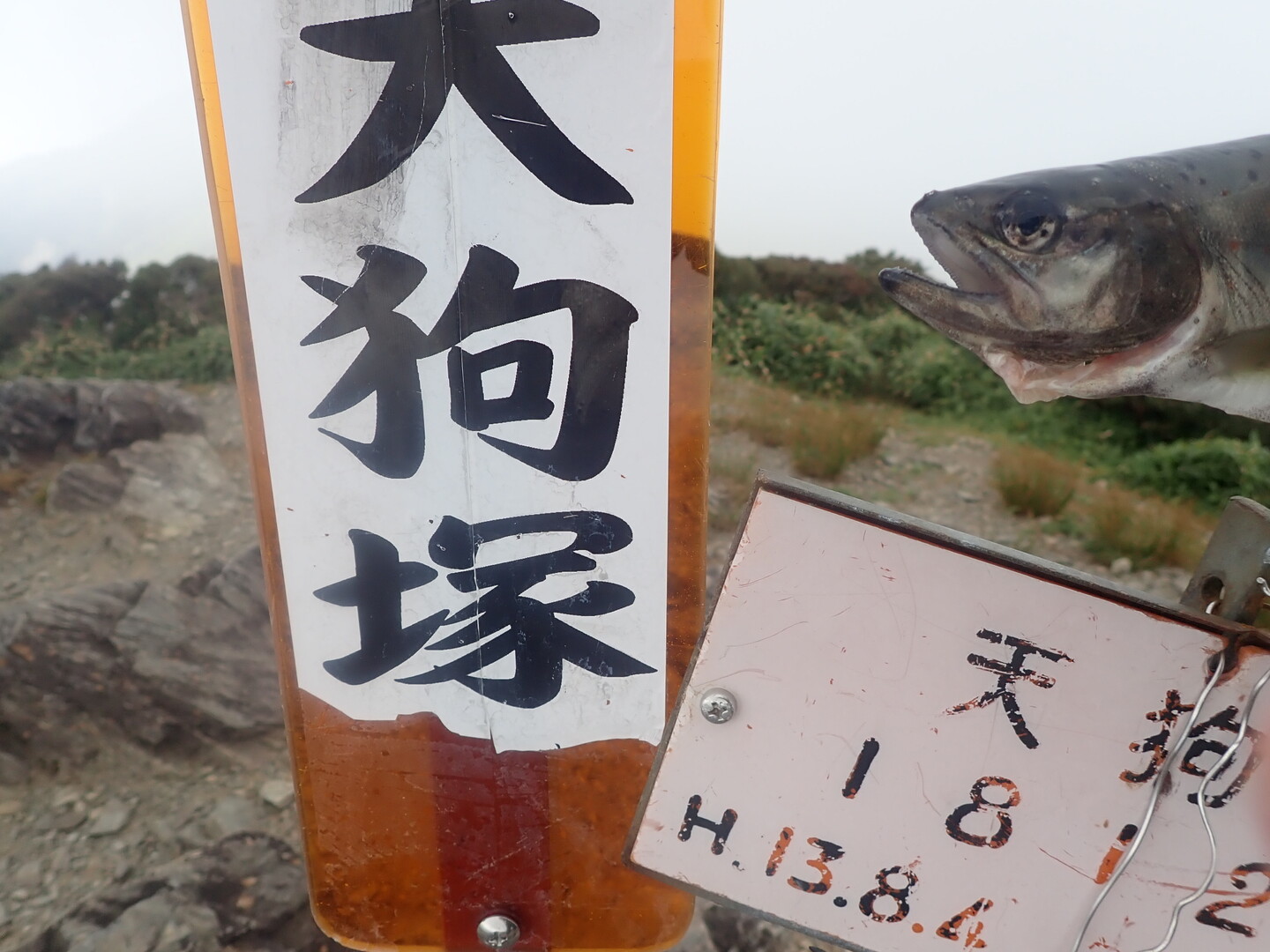 釣り納め物部川 山頂アメゴ天狗塚 ヤーメンさんの三嶺 天狗塚 石立山の活動データ Yamap ヤマップ