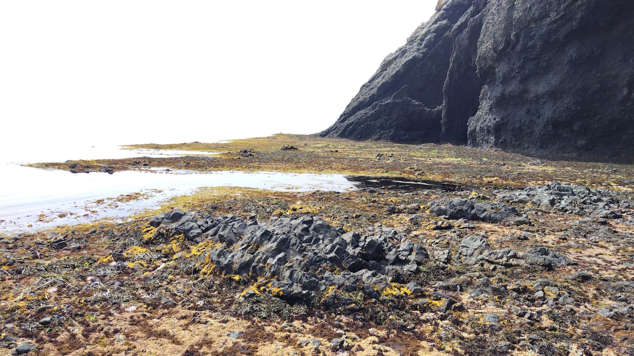 往路時とは違う景色とルートを進める