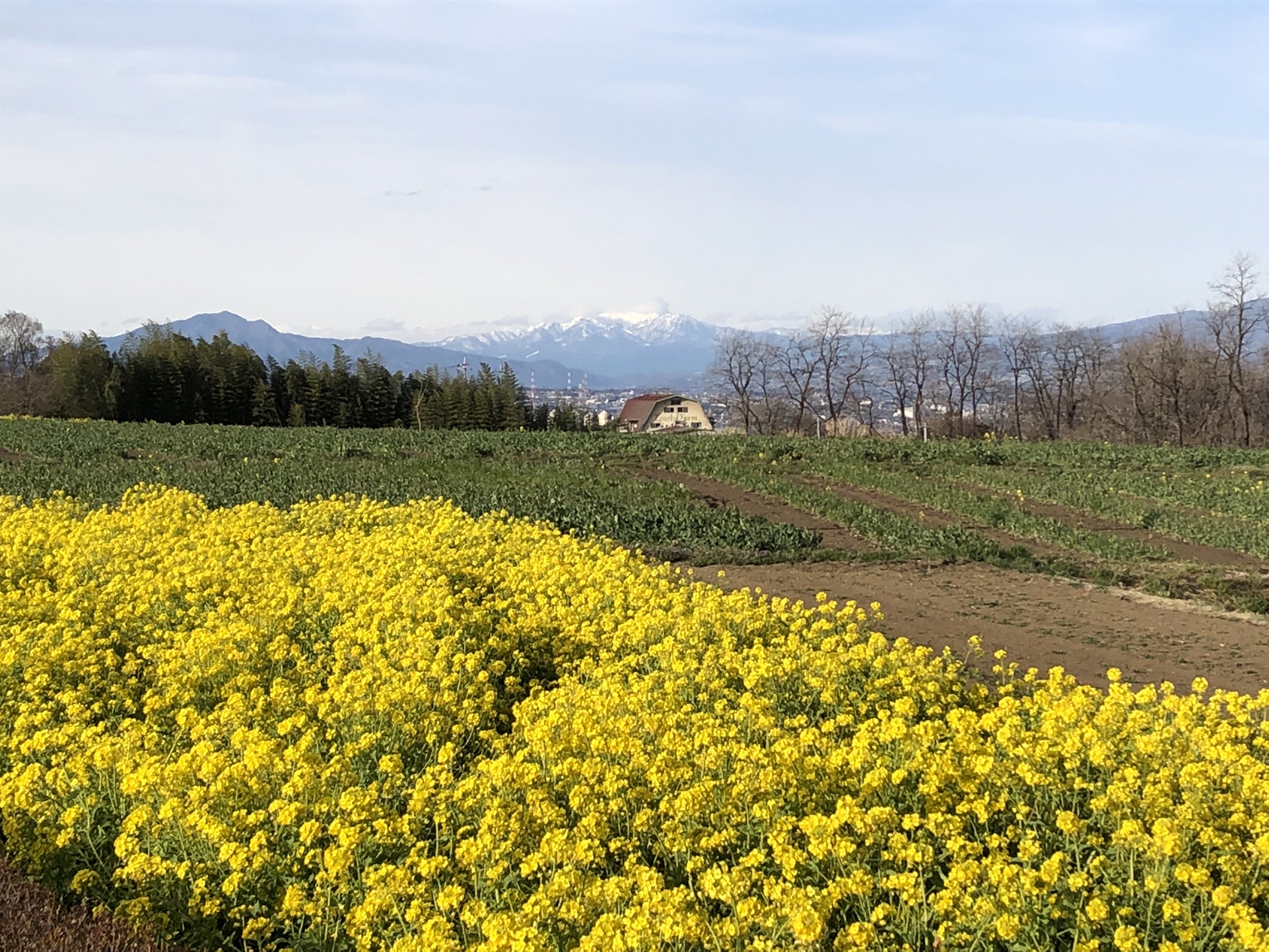 22 03 21鼻高展望花の丘 バリオスさんの高崎市の活動データ Yamap ヤマップ