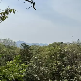 神社の見晴らし台から大岳山も見えます🤩