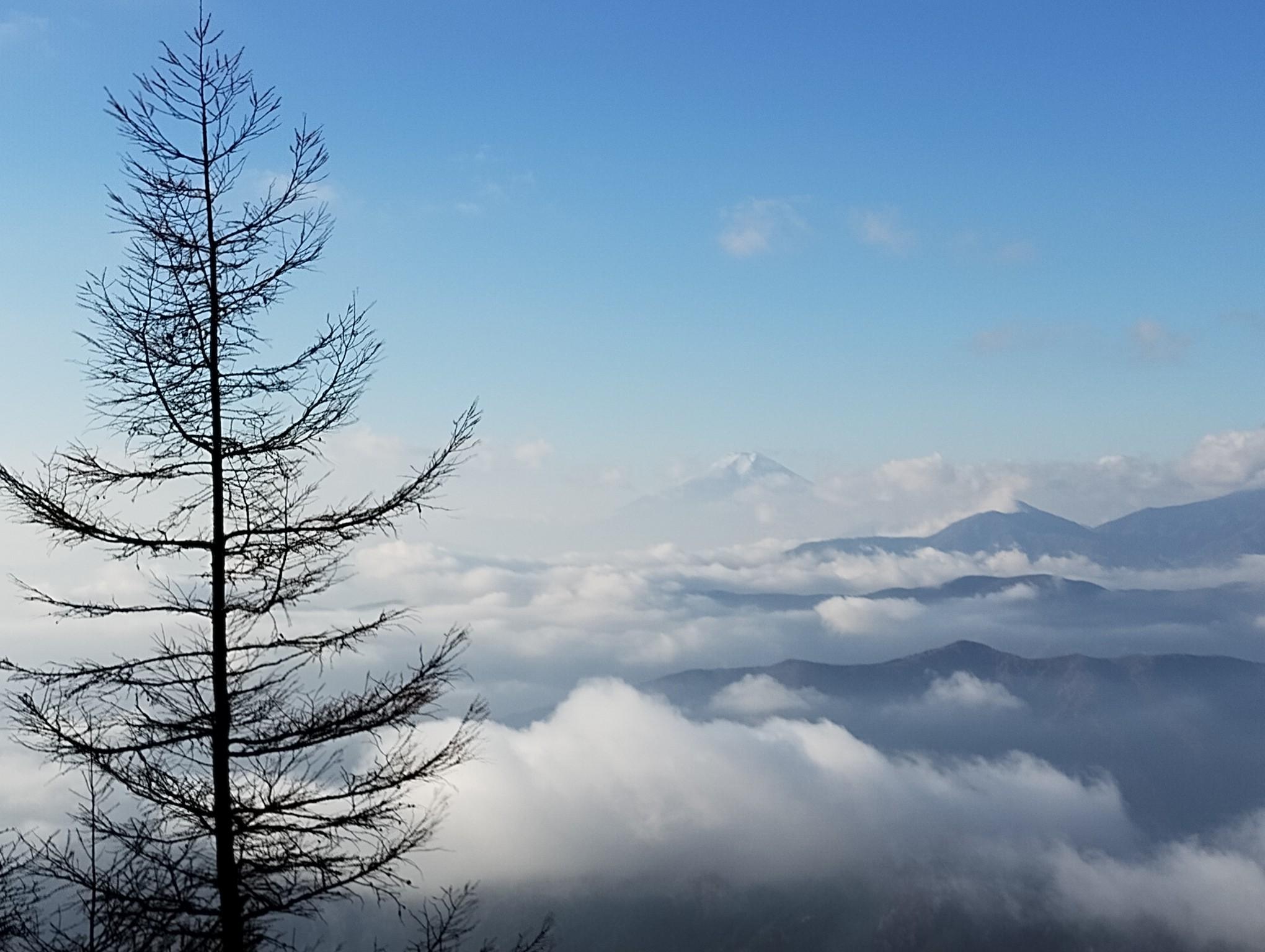 千本ツツジ（東京） | YAMAP / ヤマップ