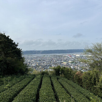 千葉山・白岩寺山 ここまであっという間です。