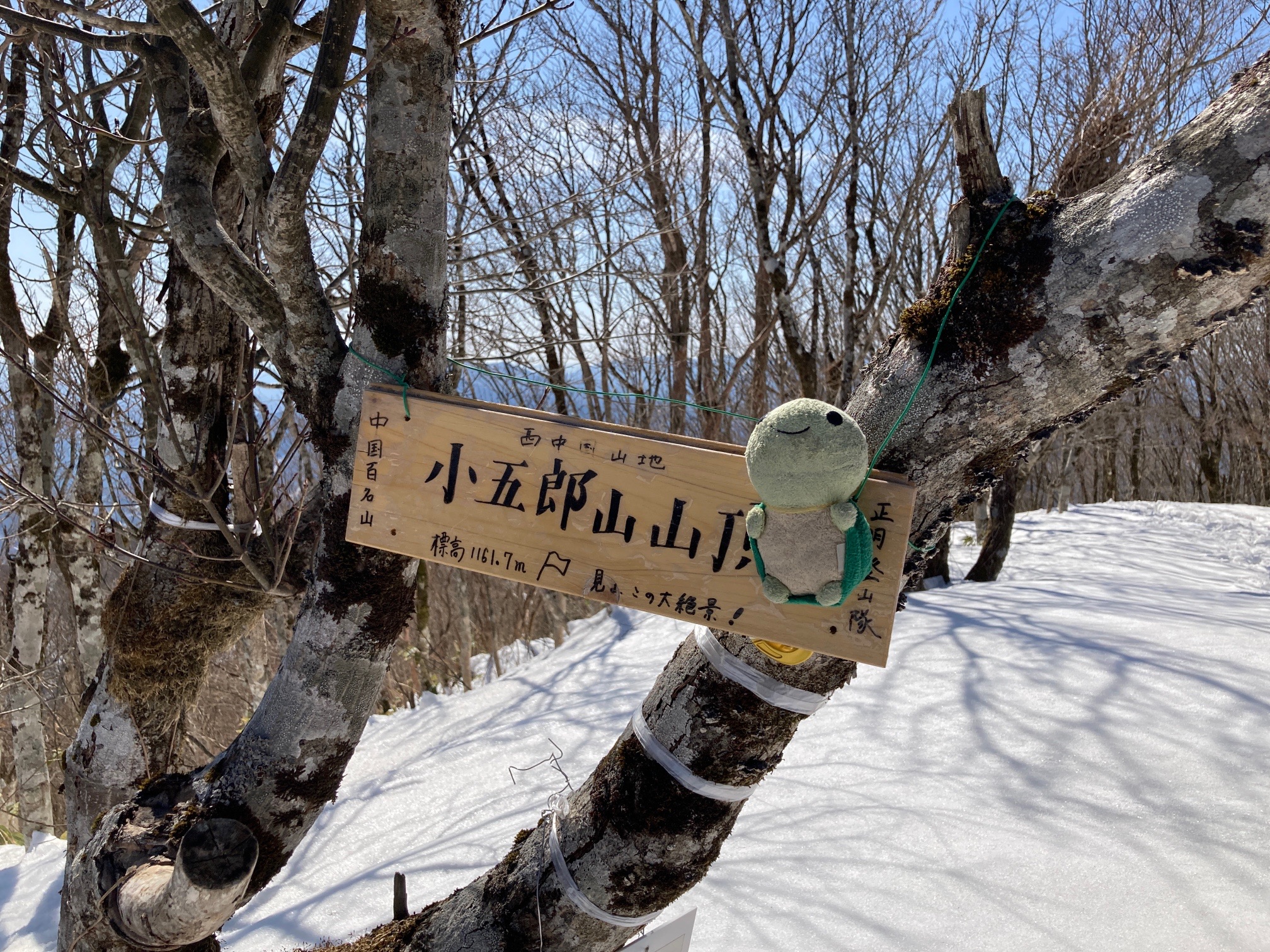 小五郎山の最新登山情報 / 人気の登山ルート、写真、天気など