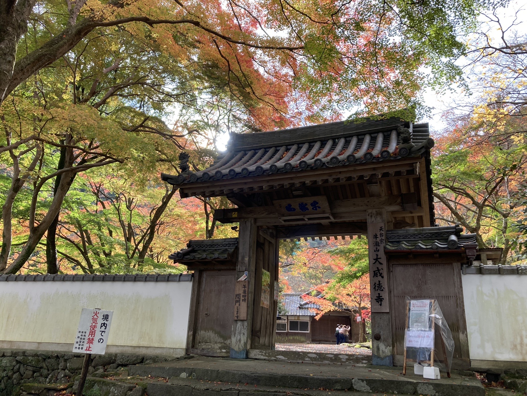 紅葉の牛滝山 大威徳寺 和泉葛城山 犬鳴山温泉 Kazz309さんの槇尾山 槙尾山 和泉葛城山 神於山の活動データ Yamap ヤマップ