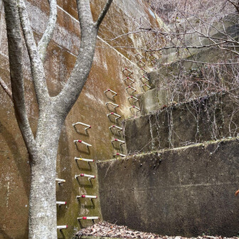 六甲山・長峰山・摩耶山 今度は➡️