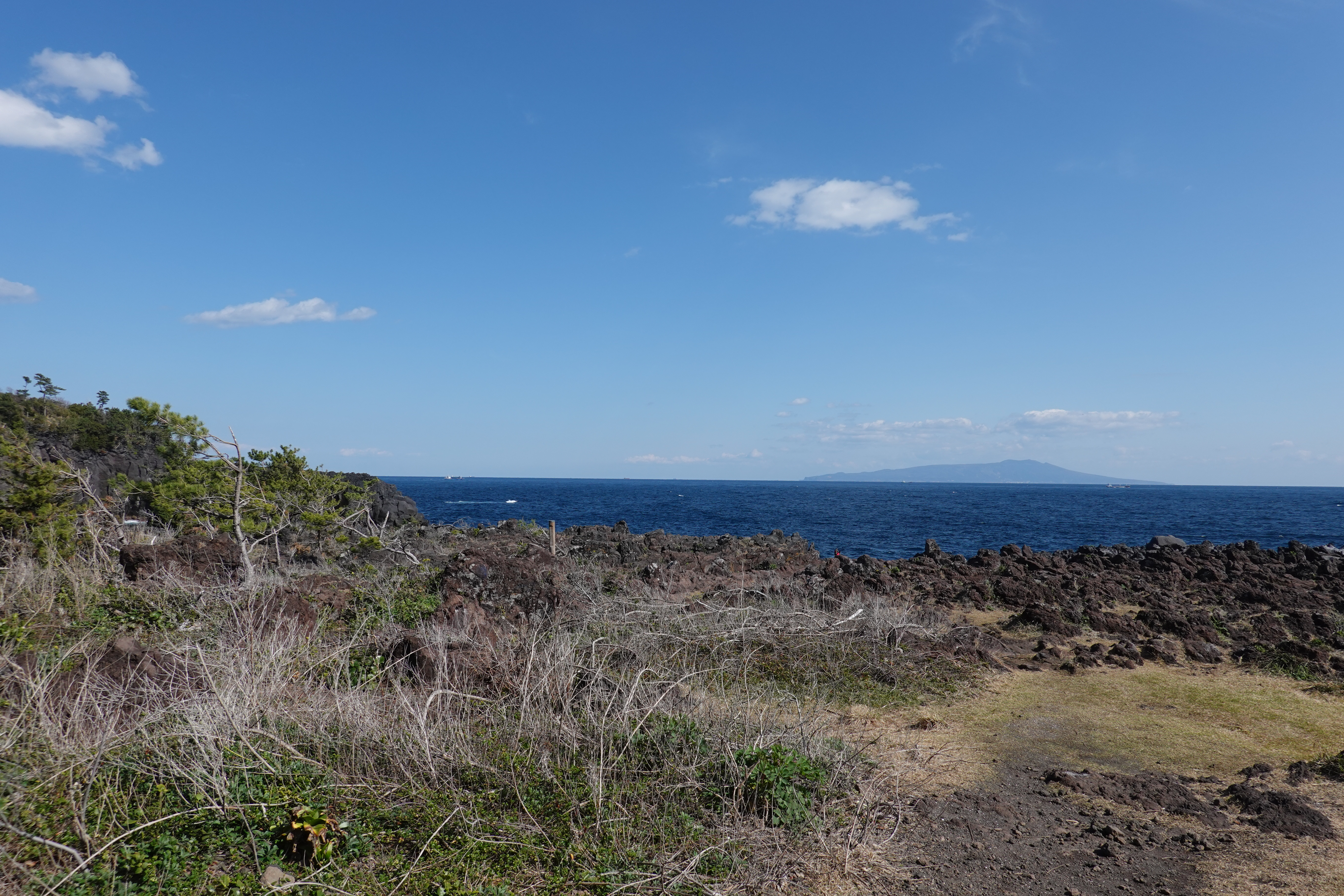 城ヶ崎海岸自然研究路コース きままにゆるりと過ごし中さんの城ヶ崎海岸自然研究路コースの活動日記 Yamap ヤマップ