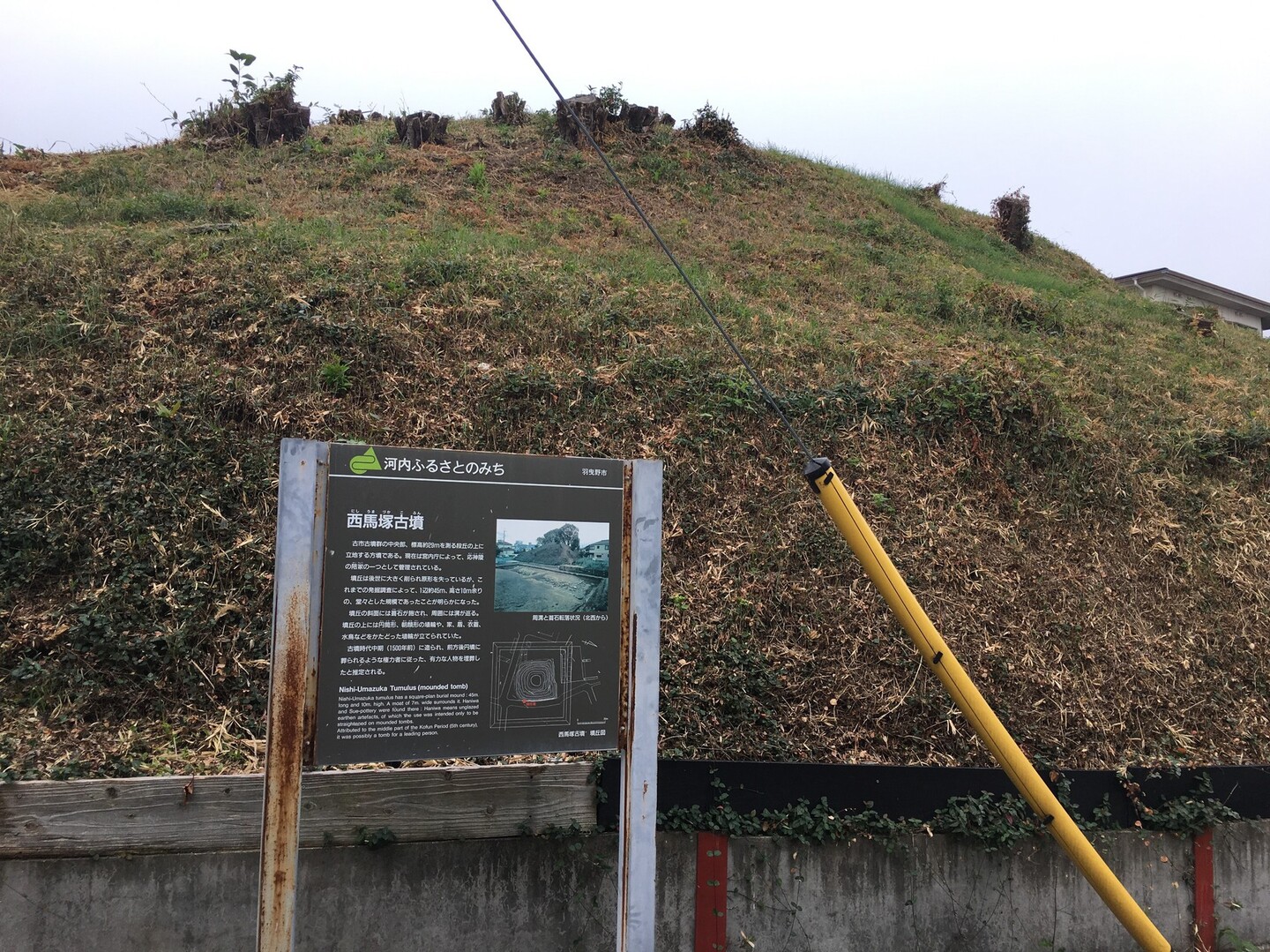 古市古墳群を訪ねて Mintさんの金剛山 二上山 大和葛城山の活動日記 Yamap ヤマップ