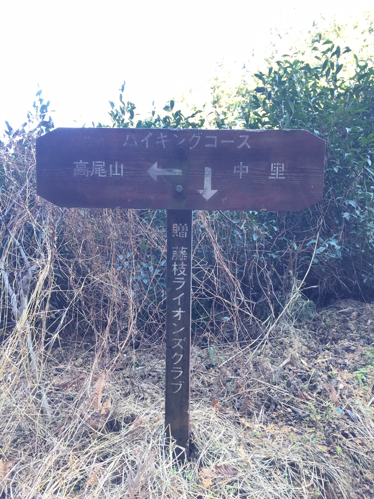 藤枝低山探検 ハイク 19 12 15 森の民さんの高根山 菩提山 高尾山の活動日記 Yamap ヤマップ