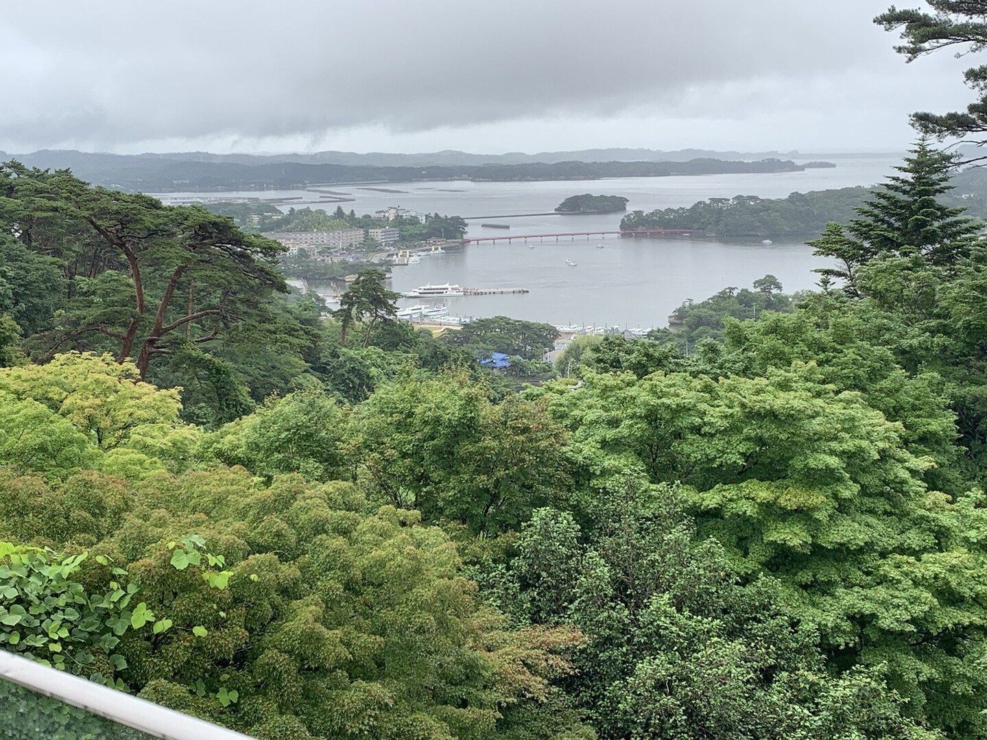 日本三景 松島 レイニーウォーキング 07 12 ふぇとさんの松島の活動日記 Yamap ヤマップ