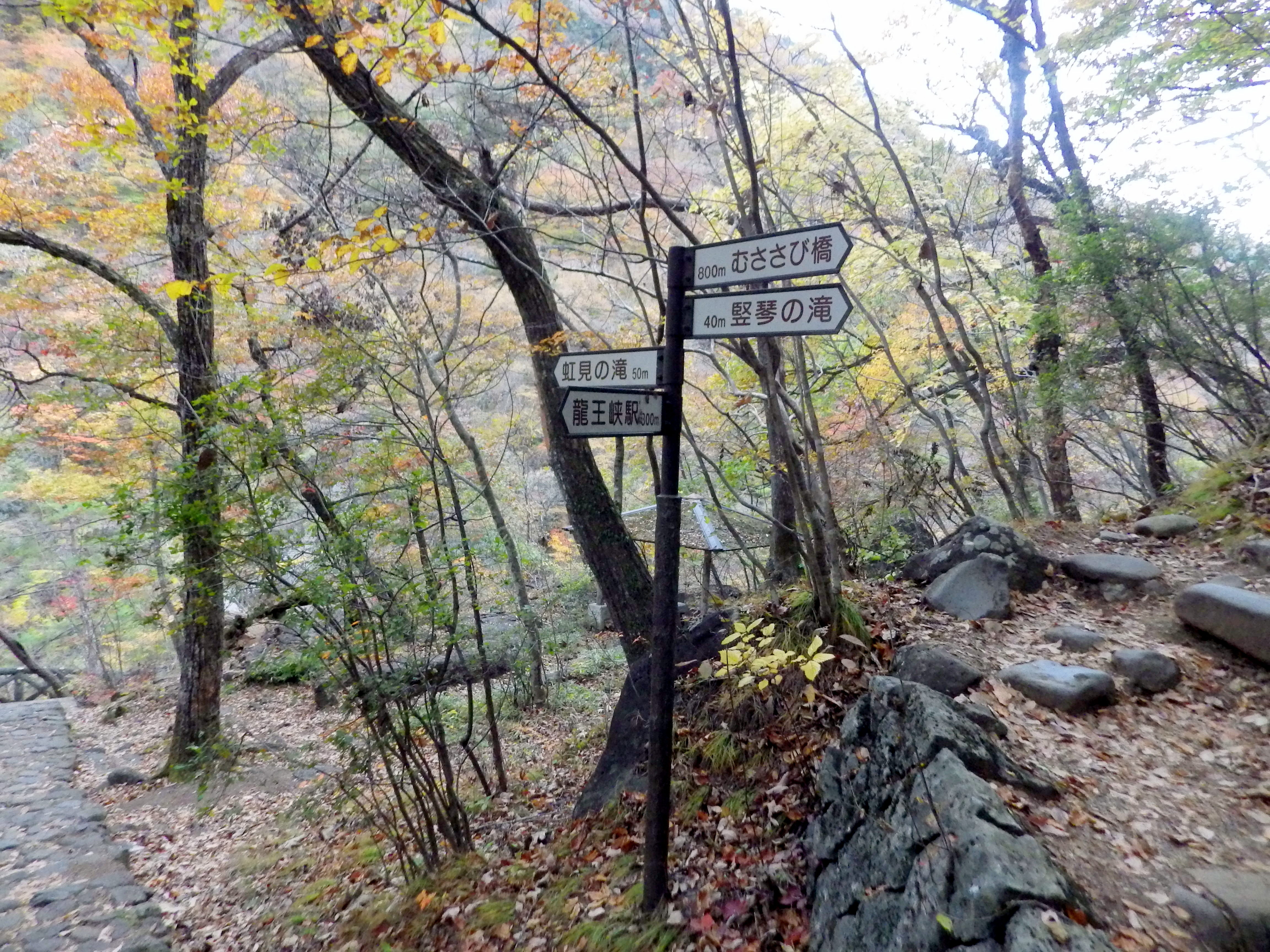 日光の絶景 龍王峡二人占め11 18 い さんさんの南平山 栃木県 の活動日記 Yamap ヤマップ