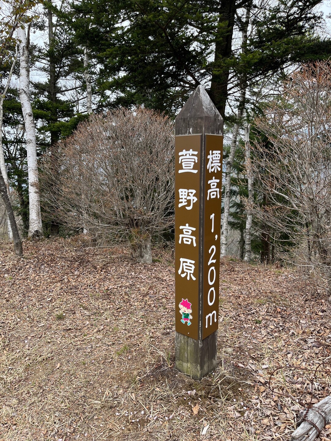 YAMAPさんありがとう！ 萱野高原1200m標高柱 山頂マーク登録 / ひっきーさんの萱野高原・不動ヶ峰の活動データ YAMAP / ヤマップ