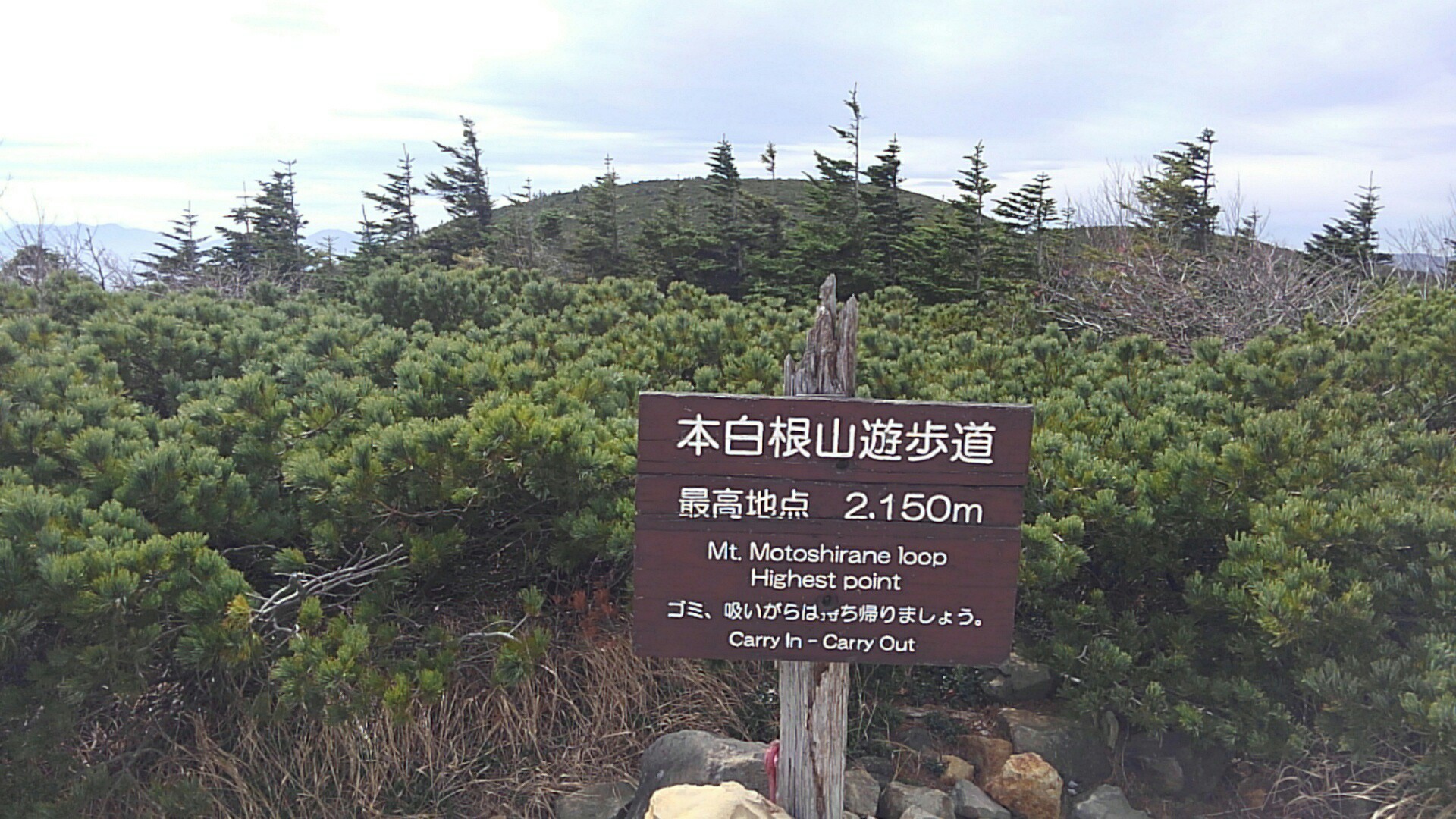 気配感じ横見たら 草津白根山 たけ 旧たこ さんの草津白根山 湯釜の活動日記 Yamap ヤマップ