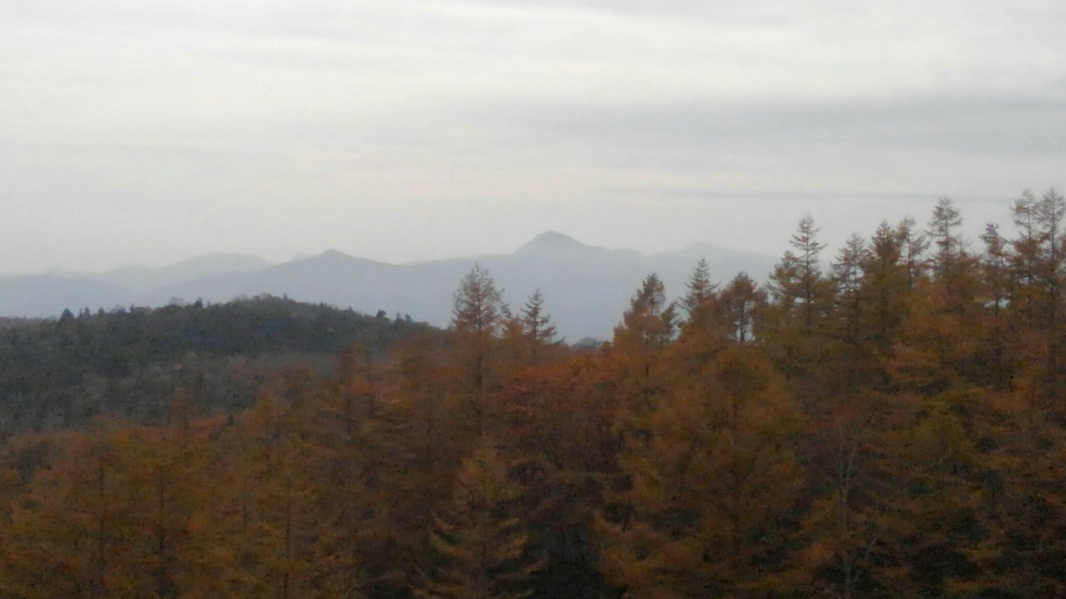 気配感じ横見たら 草津白根山 たけ 旧たこ さんの草津白根山 湯釜の活動日記 Yamap ヤマップ
