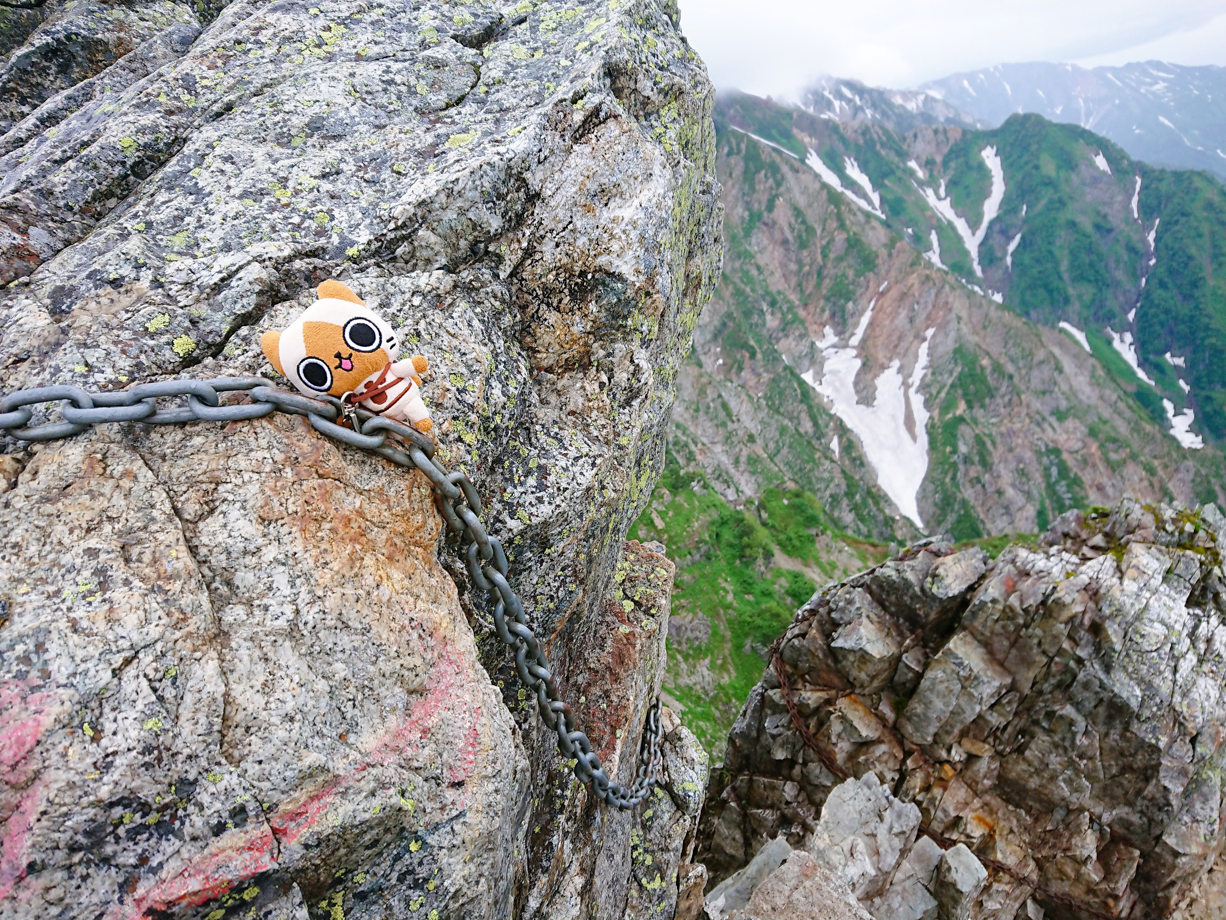 不帰ノ嶮ピストン 上位クエスト 7 ソロ 19 07 22 破裂の銀行さんの鹿島槍ヶ岳 五竜岳 五龍岳 唐松岳の活動データ Yamap ヤマップ