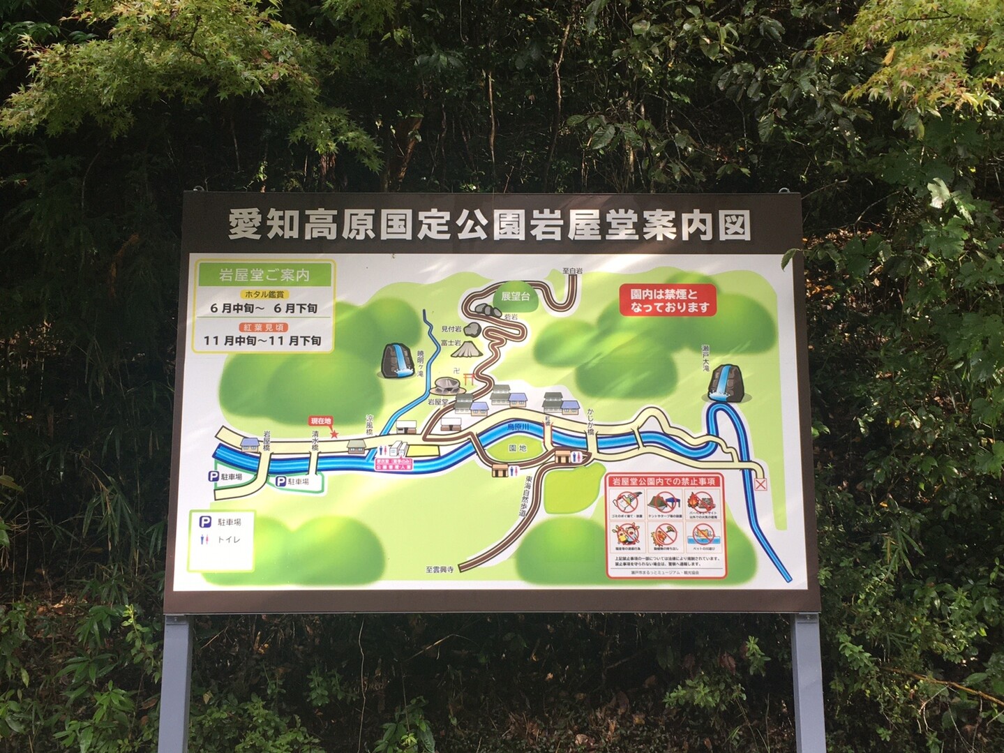 元岩巣山 岩巣山 テツ兄さんの岩巣山 三国山 折平山の活動日記 Yamap ヤマップ