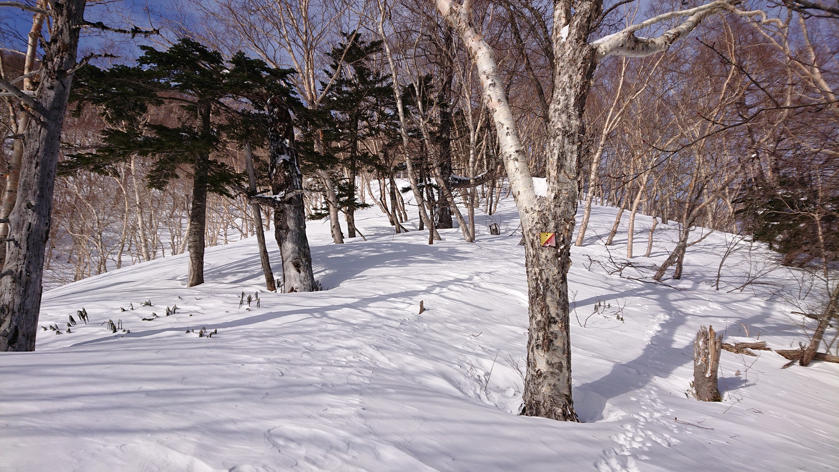日光白根山・五色山・錫ヶ岳 ノートレースはキツい