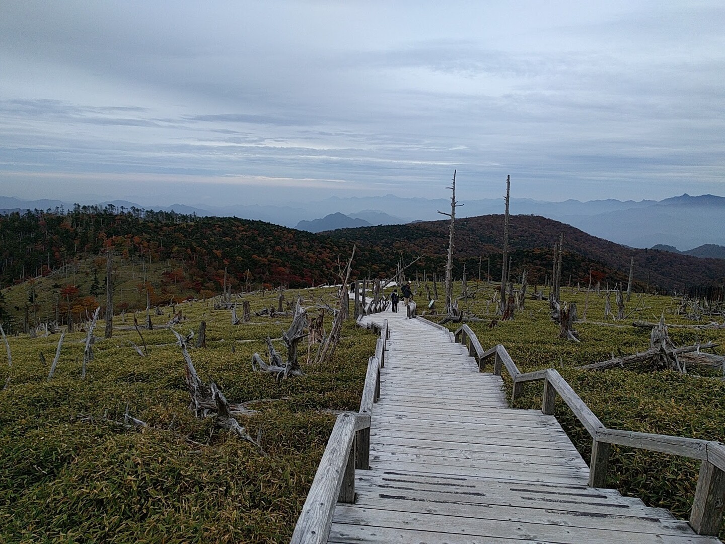 大台ケ原 東 ショートカット まーぼーさんの大台ヶ原山 日出ヶ岳 大杉谷の活動日記 Yamap ヤマップ