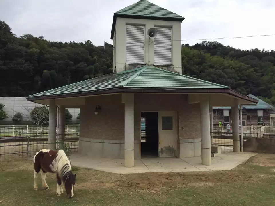 39【畜産センター公園】(岐阜県岐阜市) / YMINOさんの金華山 39【畜産センター公園】(岐阜県岐阜市) / YMINOさんの金華山