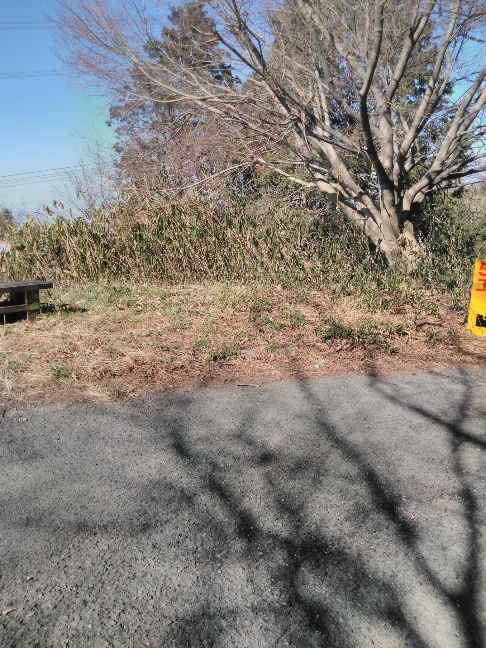 直行の道 生駒駅 鉄塔５号 ユック オマーさんの生駒山 神津嶽 大原山の活動データ Yamap ヤマップ