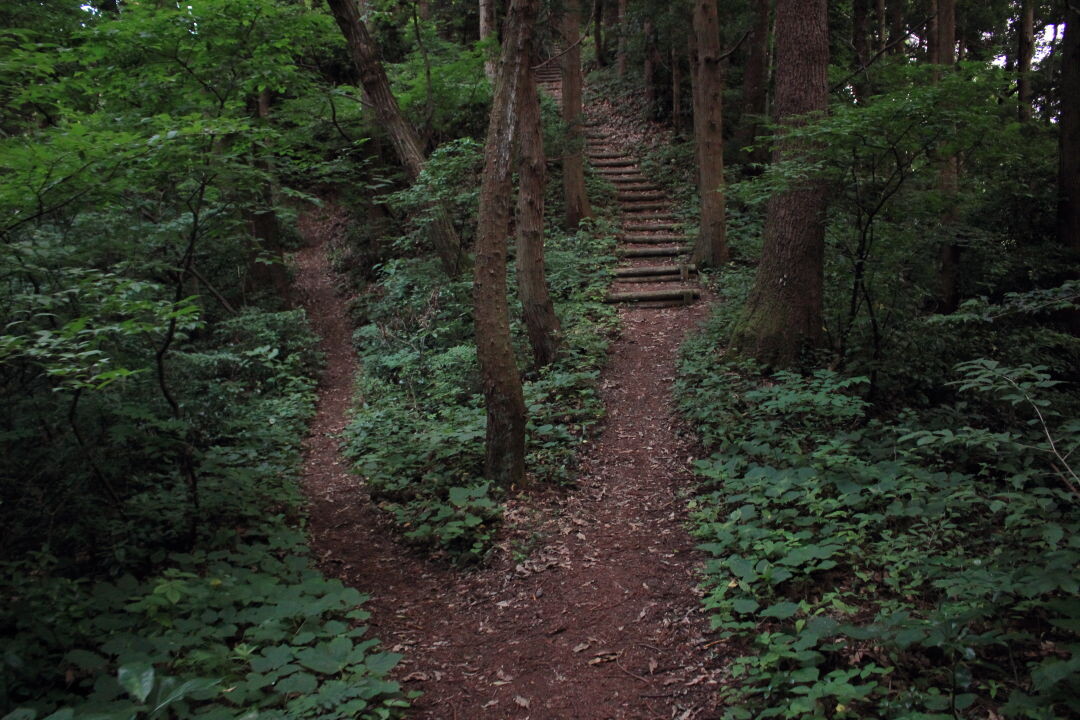 ひゃんで花火を見に菩提寺山 大沢公園コース 菩提寺山 高立山 護摩堂山の写真4枚目 ここも左の巻き道へ Yamap ヤマップ