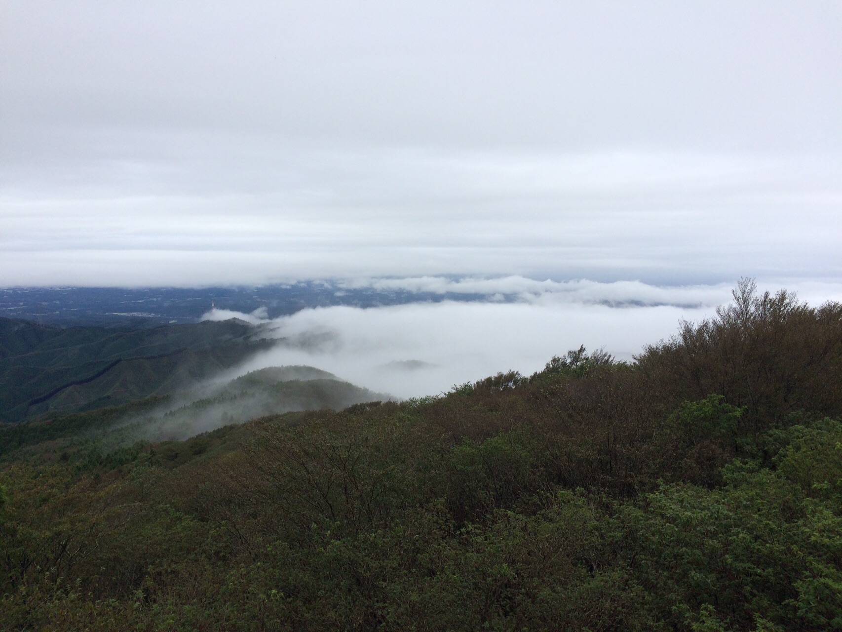 八溝山 入山 林道でリスを見ました 南家六角さんの八溝山 池ノ平の活動データ Yamap ヤマップ