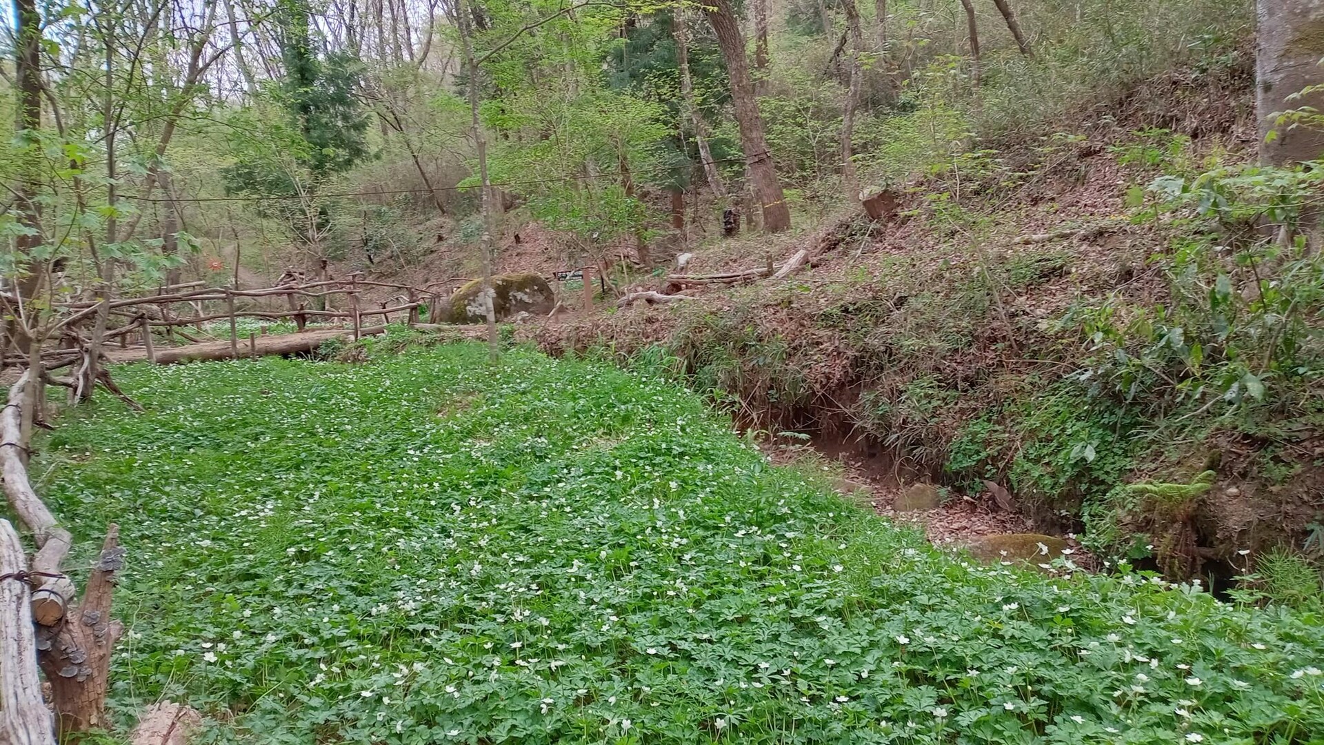 グリーンピア岩沼🌿散策