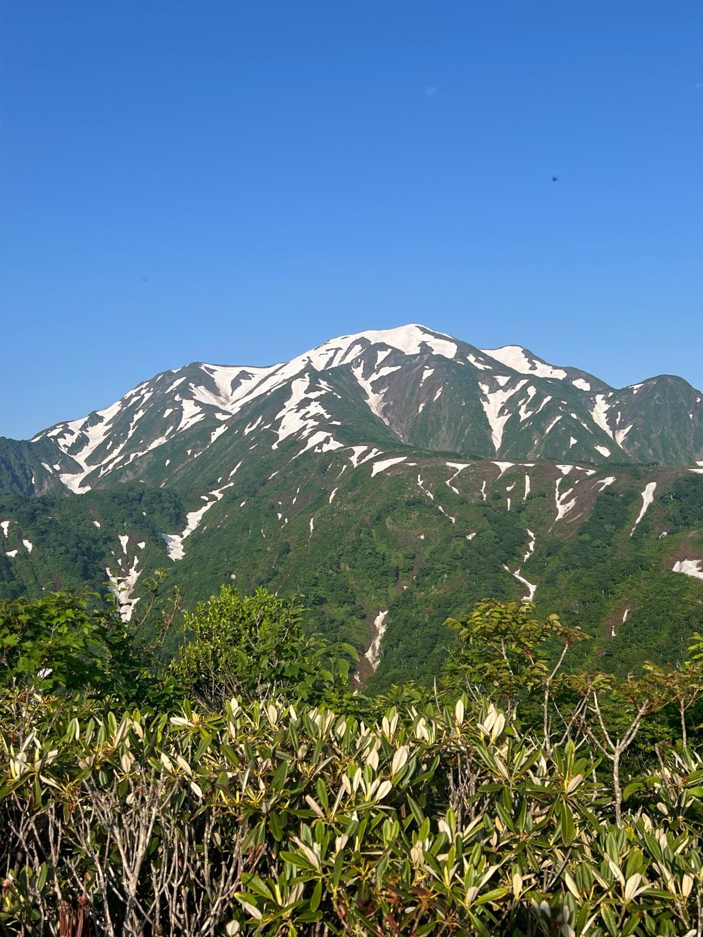 越後駒ヶ岳（石抱橋ピストン） / キッチンハイカーさんの越後駒ヶ岳・八海山・中ノ岳の活動データ | YAMAP / ヤマップ