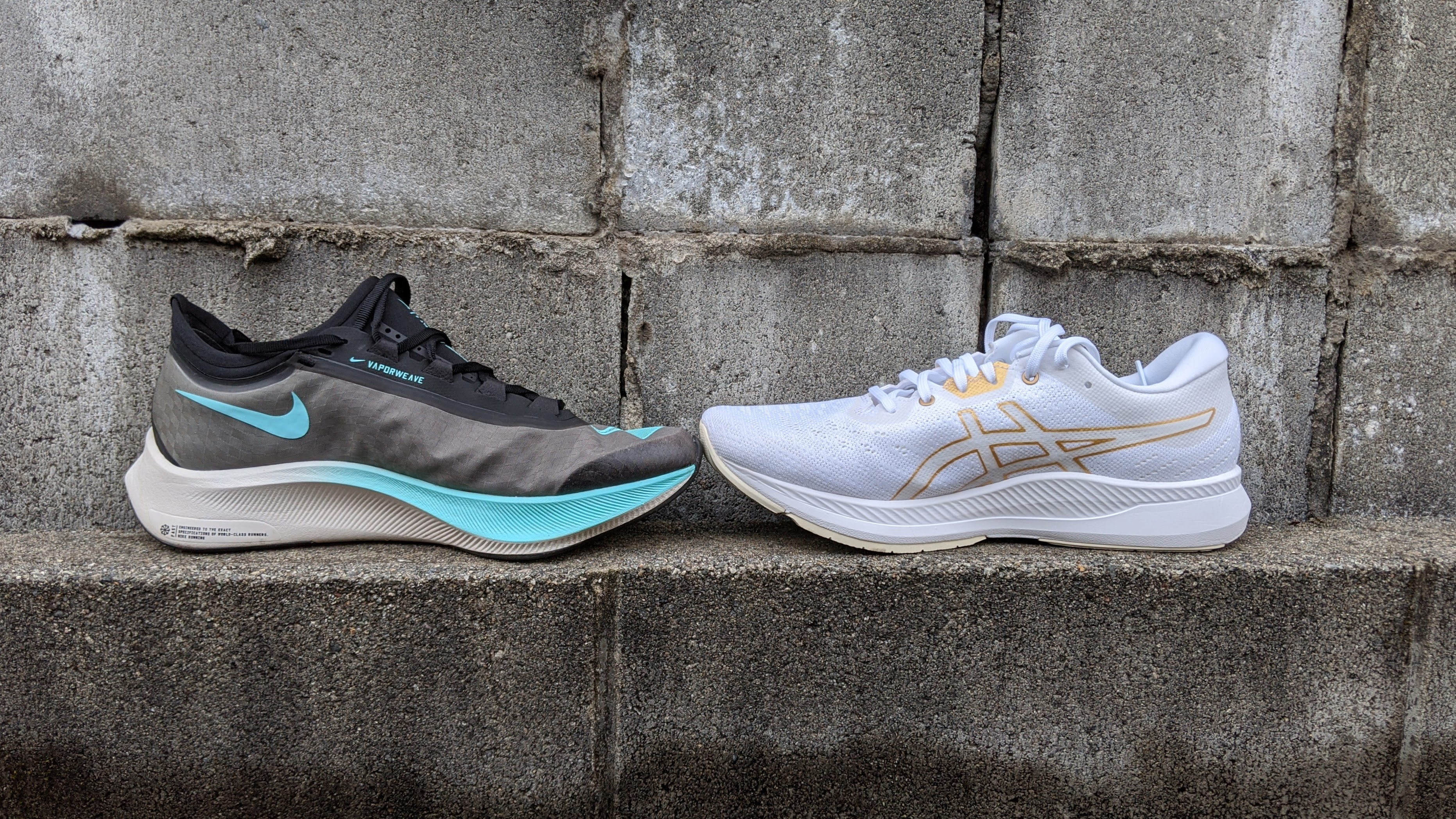 小松木場潟 厚底ランニングシューズ履き比べ Nikeズームフライ３ Asicsエボライド Isoyanさんの小松市の活動データ Yamap ヤマップ