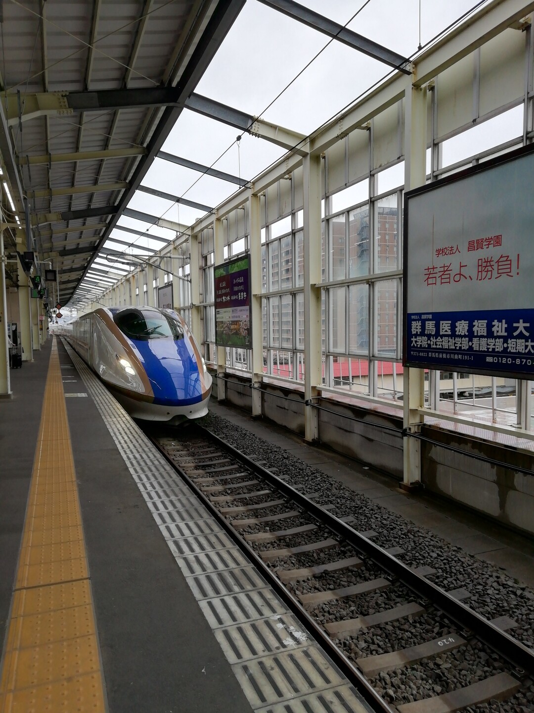 ヒルとの遭遇 地獄の碓氷峠 中山道 軽井沢 高崎 Makkoさんの中山道 松井田宿 坂本宿 軽井沢宿 の活動日記 Yamap ヤマップ