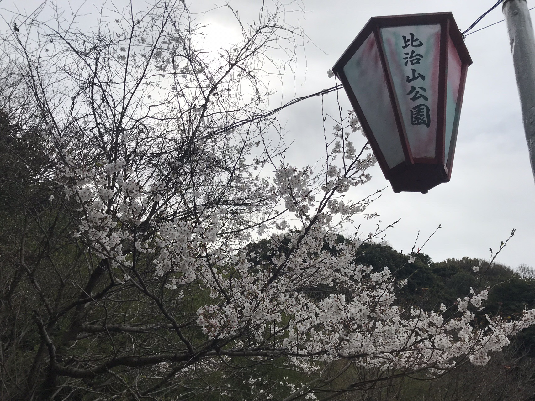 広島 比治山 27 まいちさんの広島市の活動データ Yamap ヤマップ