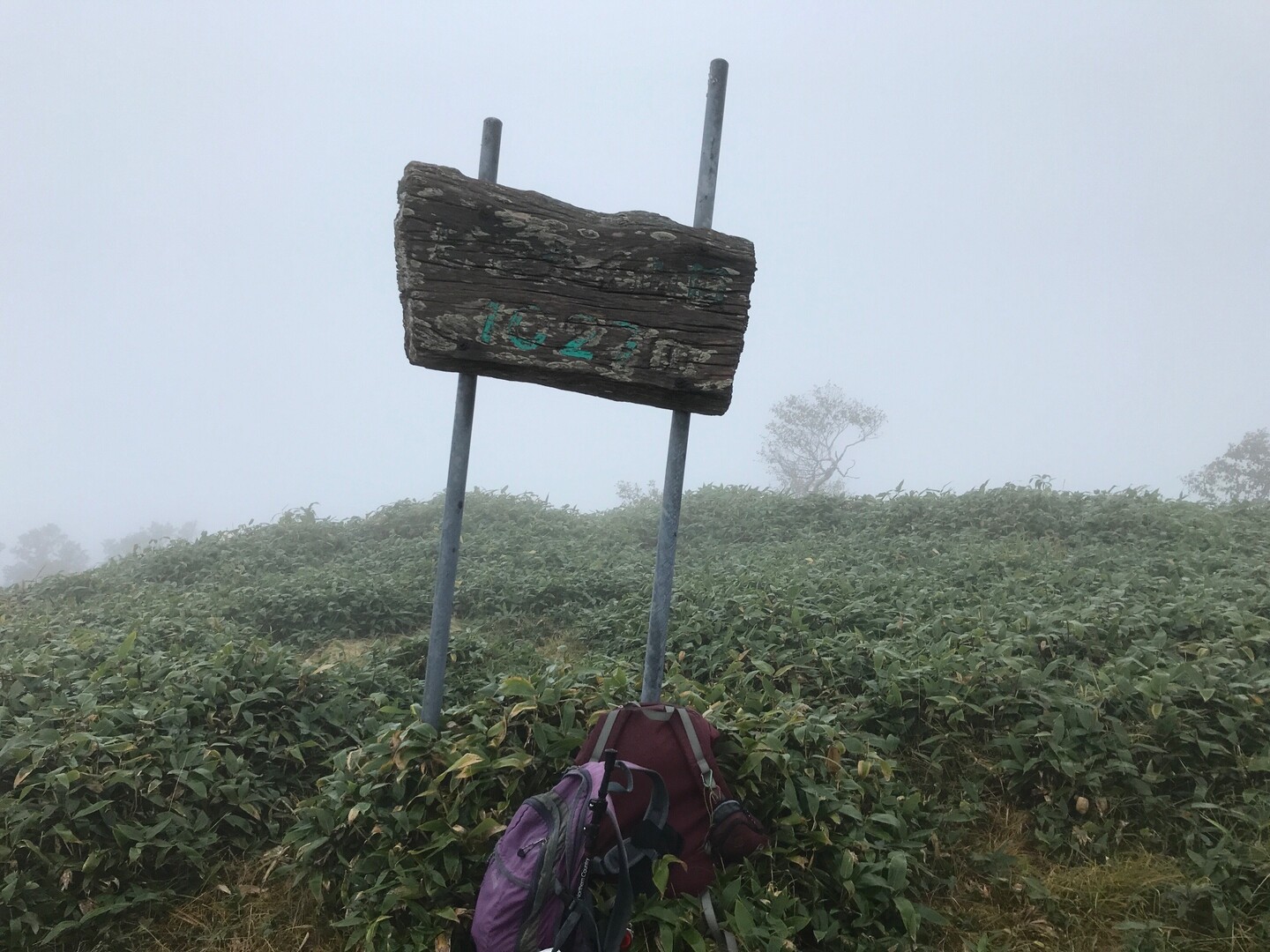 前ピセナイ山・ピセナイ山 / まりさんのピセナイ山の活動データ YAMAP / ヤマップ