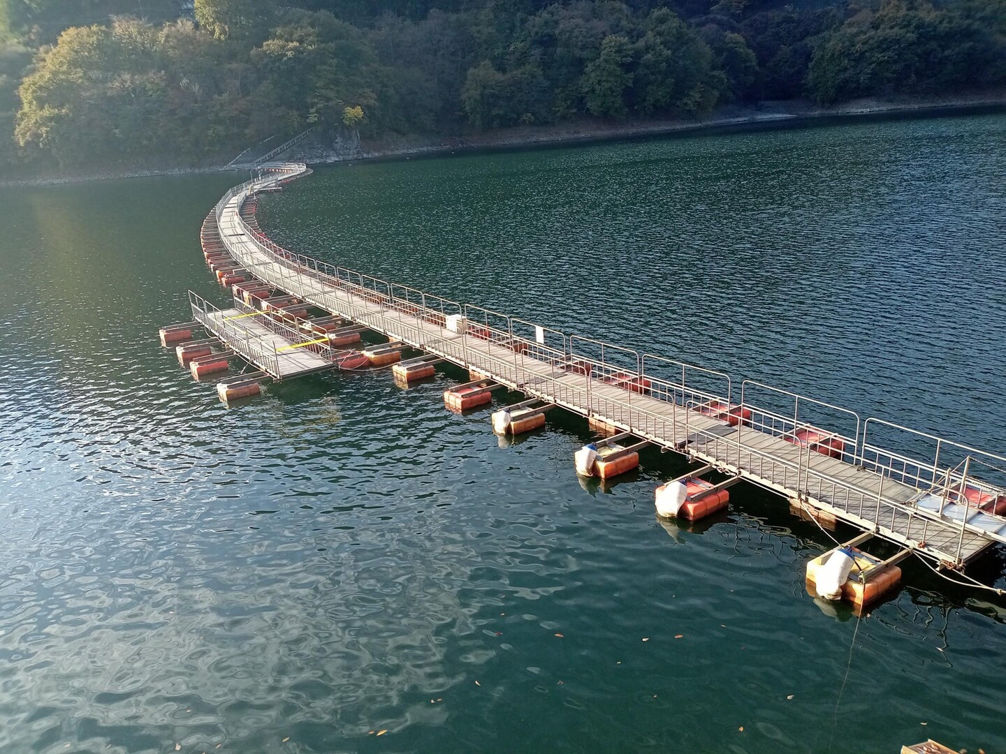 奥多摩湖（浮き橋）〜三頭山 23-11-15 / 山っぺ！さんの大岳山・御岳山・御前山の活動データ | YAMAP / ヤマップ