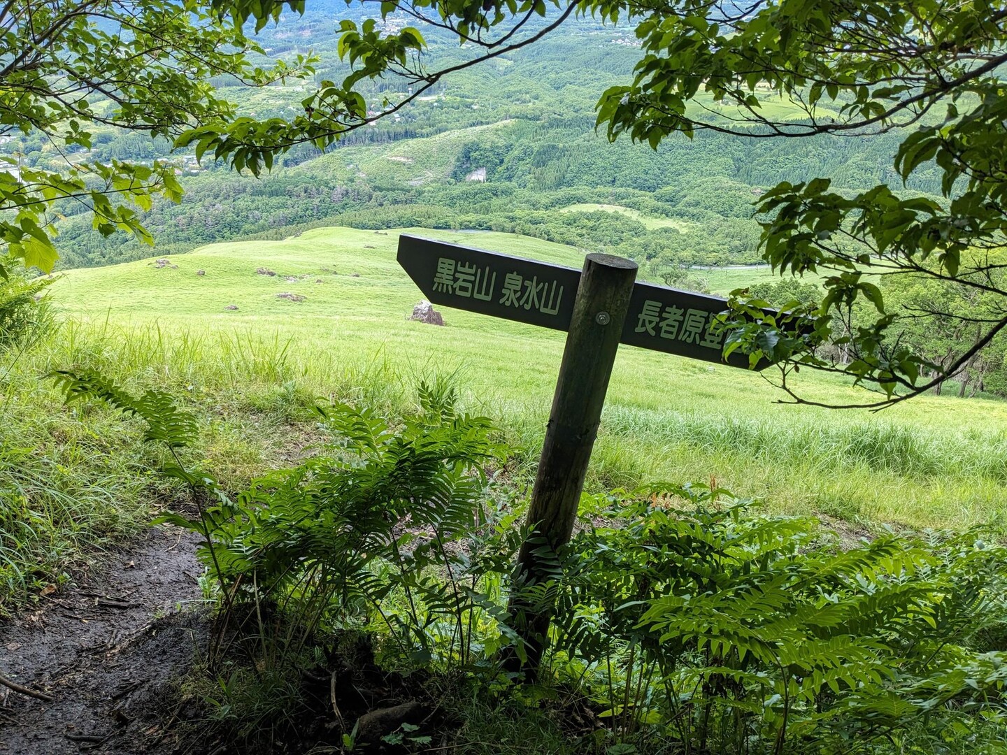 雨の日登山。九州自然歩道（長者原～牧ノ戸）、黒岩山・上泉水山・泉水山 / ゆっき～さんの九重山（久住山）・大船山・星生山の活動データ ...