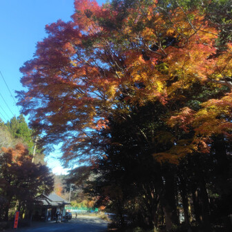 う〜む綺麗なんだが日当たりが微妙で