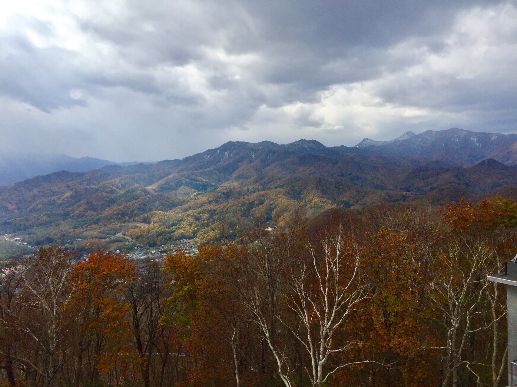 4回目の藻岩山🍁紅葉登山🍁登ったことのない旭山記念公園コース 