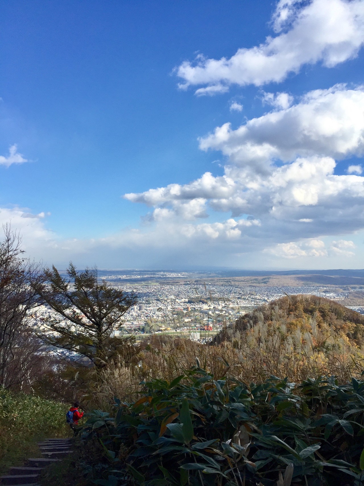 4回目の藻岩山🍁紅葉登山🍁登ったことのない旭山記念公園コース 