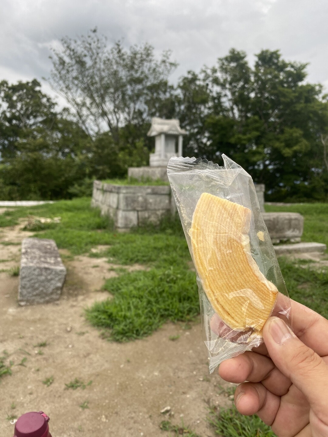 夏トレ⑤ 上曽峠 ⇄ 足尾山 / ヒラメ大好きさんの加波山・吾国山・難台山の活動データ YAMAP / ヤマップ