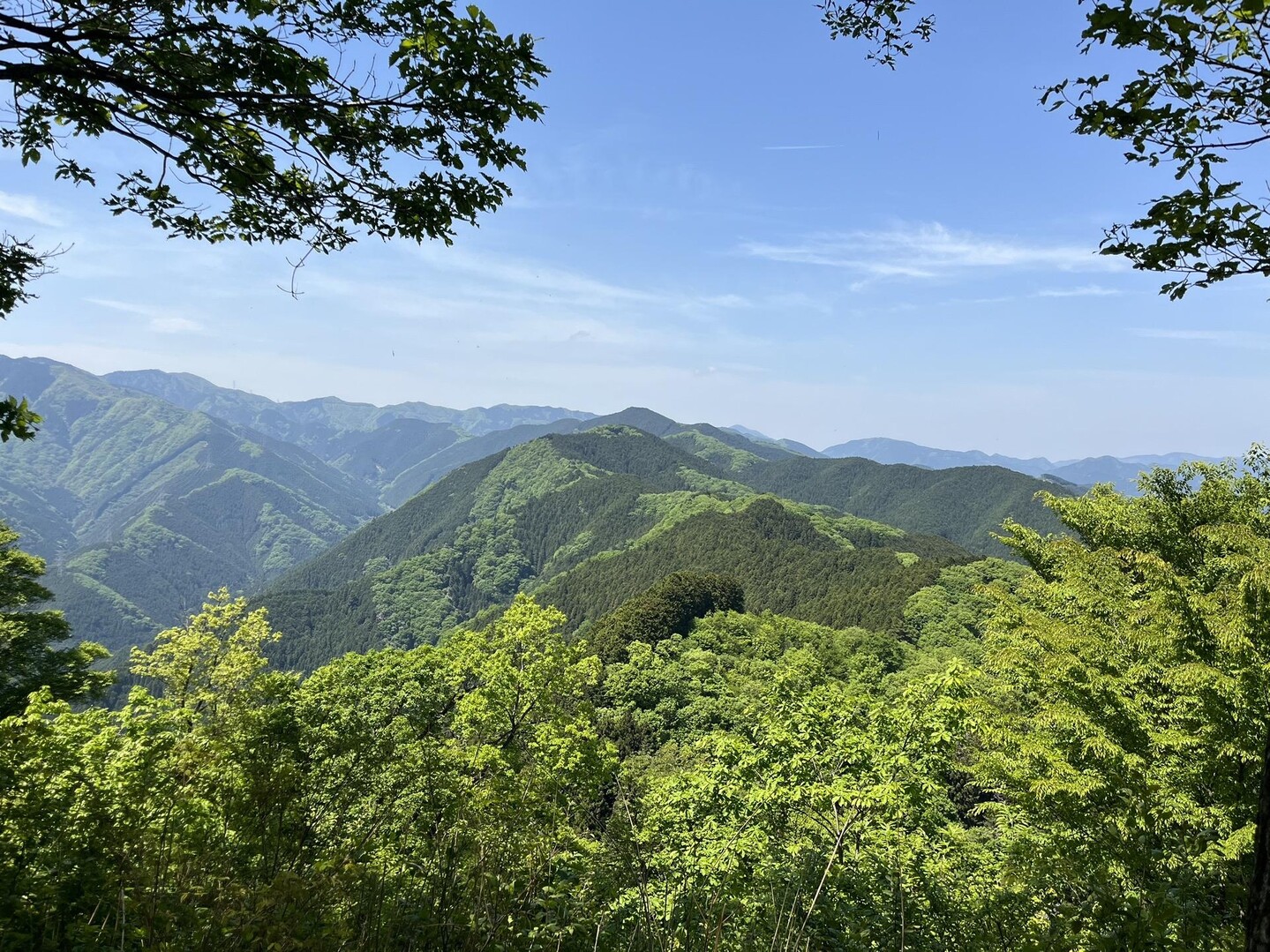 軍畑駅〜高水山〜岩茸石山〜惣岳山〜御嶽駅 / tomomaru3さんの高水山・岩茸石山・惣岳山の活動データ YAMAP / ヤマップ