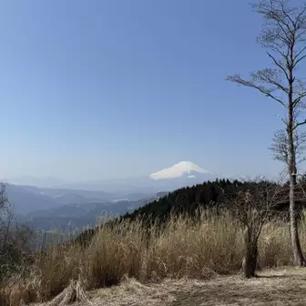 富士山見えて良かった！