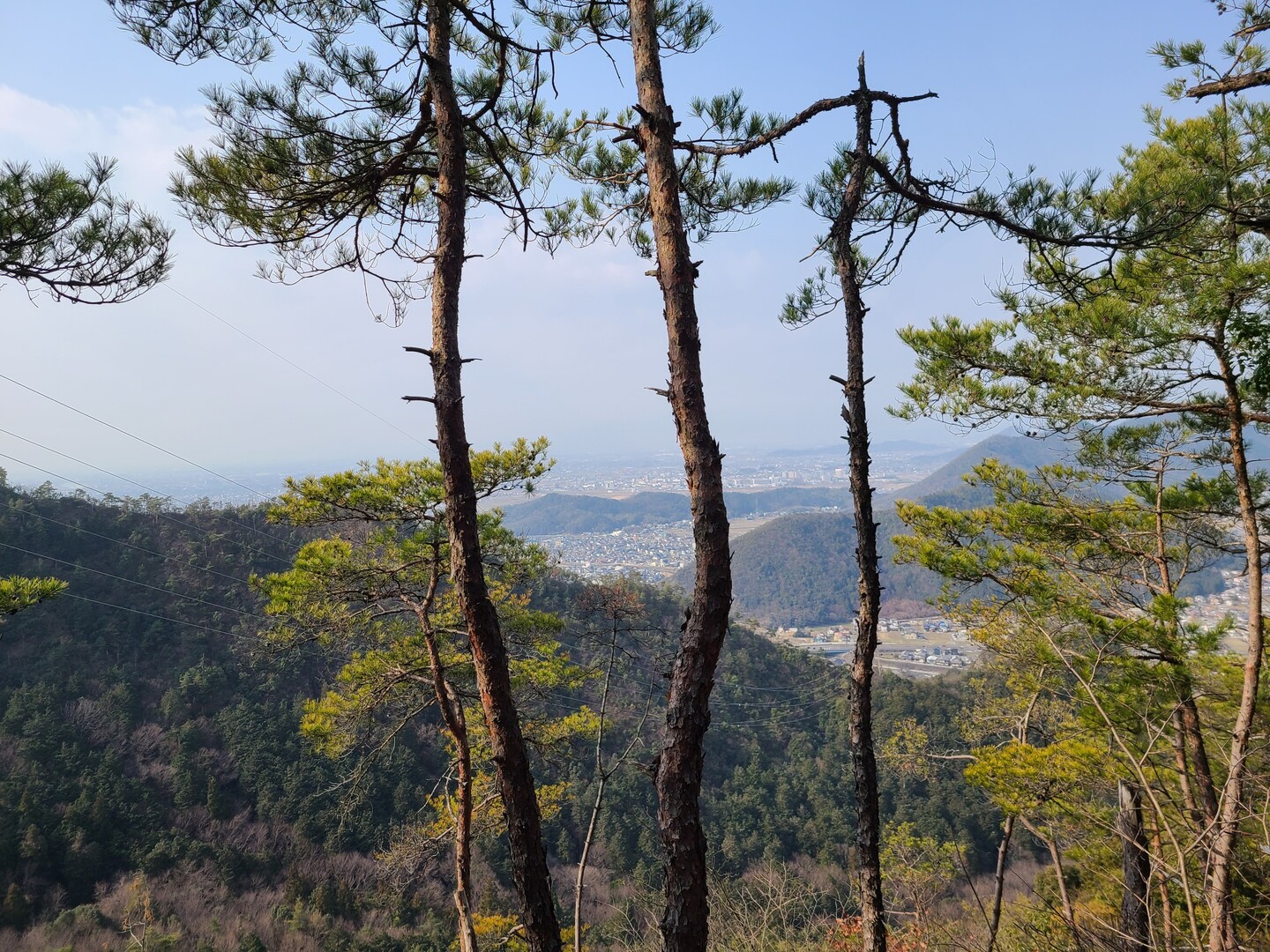 百々ヶ峰(西峰) / Kojiさんの百々ヶ峰・源太峰の活動データ YAMAP / ヤマップ