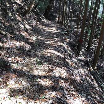 高取山 歩きやすい道です。