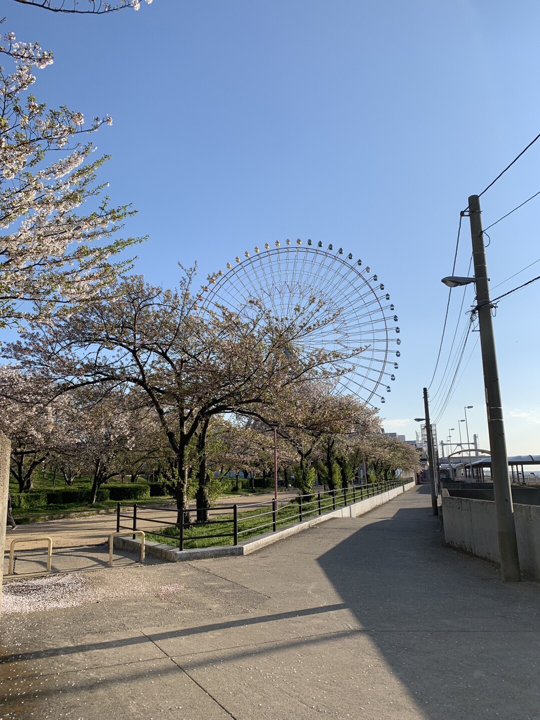 番外編 ついでに天保山へ 19 04 15 Atushi1007さんの天保山の活動日記 Yamap ヤマップ