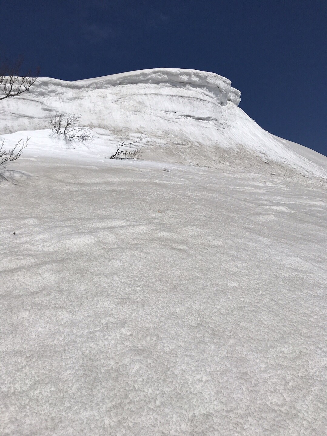 五の宮岳・皮投岳(春登山口)20190414 / フジナオさんの五の宮岳・皮投岳の活動データ YAMAP / ヤマップ