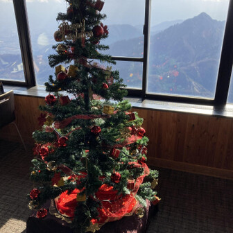 せっかくだからと
ナチュールのツリーもご案内いただく

偶然鎌さまもフレームIN