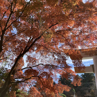 ⛩️鳥居の後ろ側からも