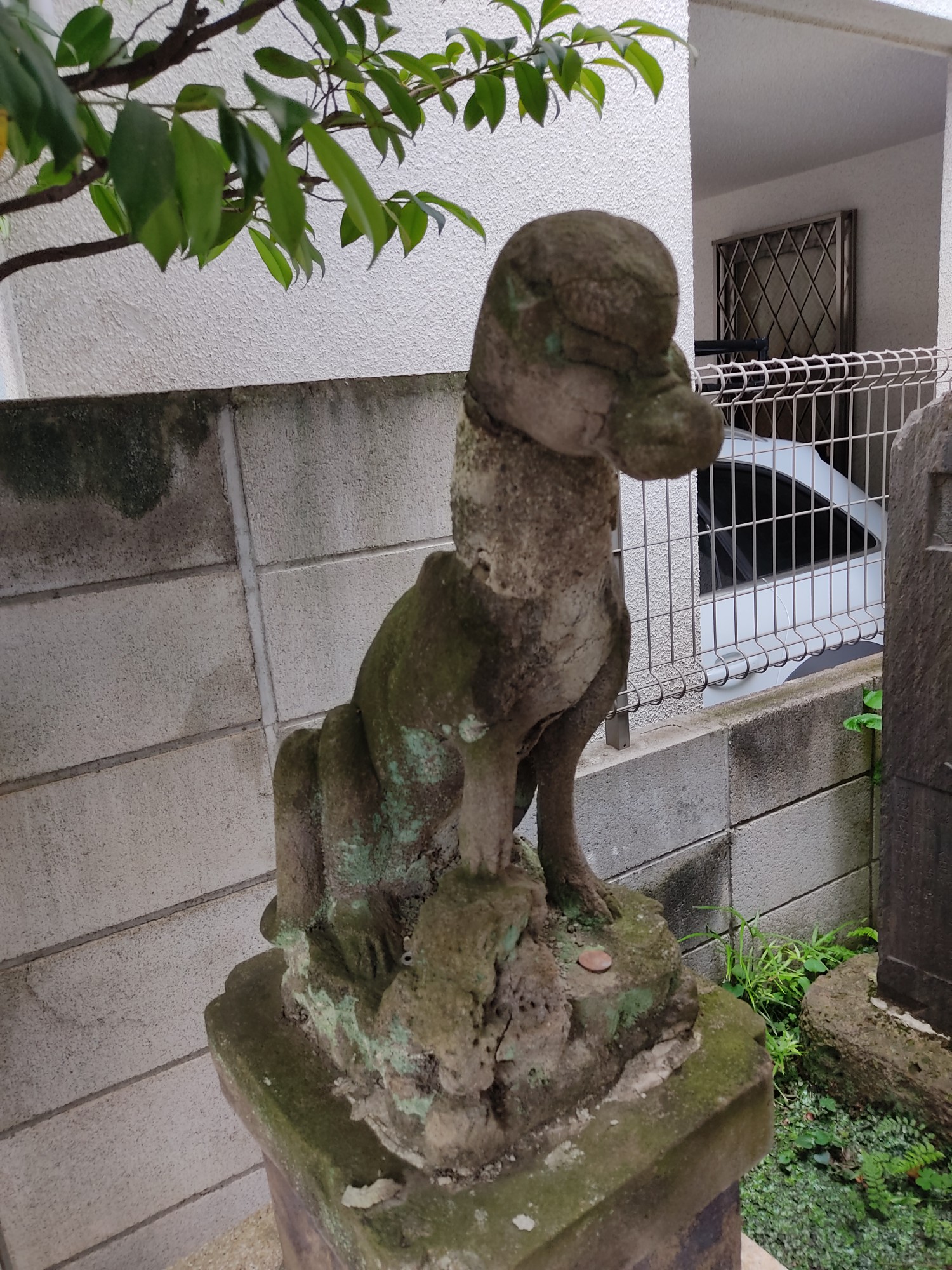 宿町御嶽神社 お犬様探訪記 サトラッシュさんのサイクリングの活動データ Yamap ヤマップ
